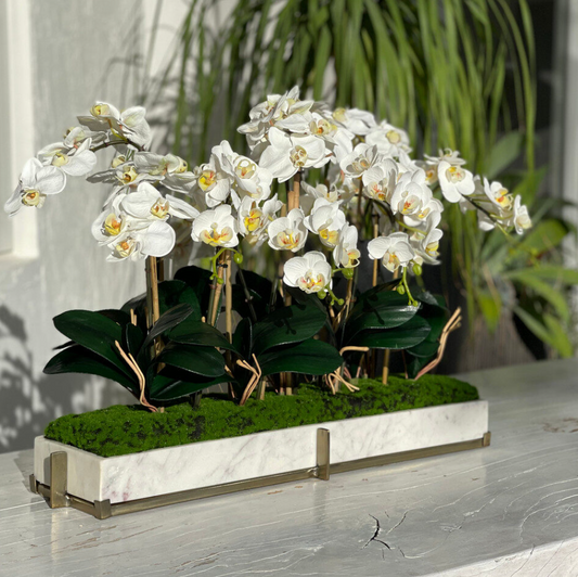 Jardim de Mini Orquídeas Phalaenopsis em Bandeja de Mármore com Suporte Metálico