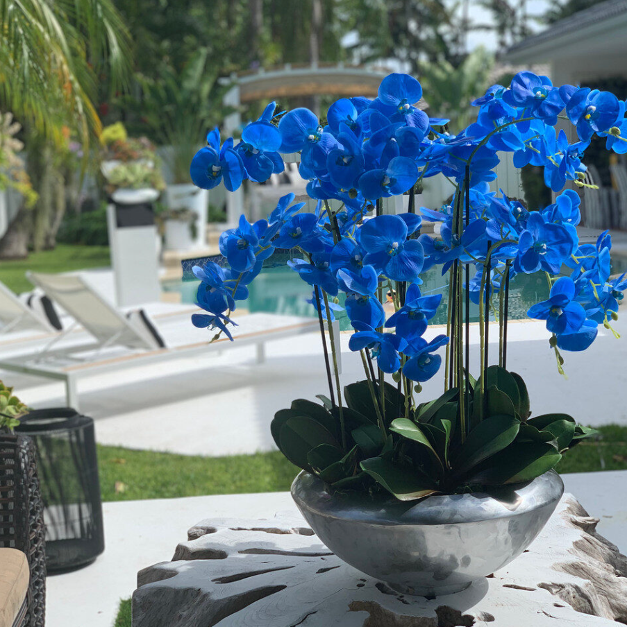 Bowl de Vidro Avenue com Orquídeas Azuis