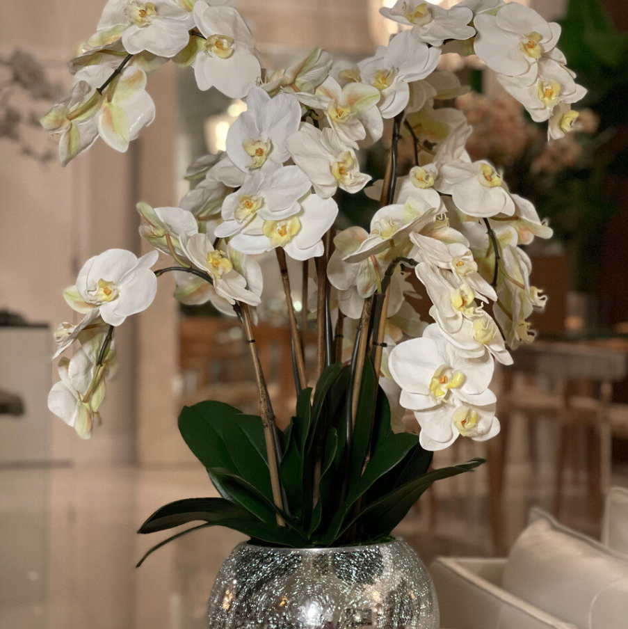 Orquídeas em Vaso Espelhado Craquelado