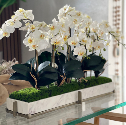Jardim de Mini Orquídeas Phalaenopsis em Bandeja de Mármore com Suporte Metálico